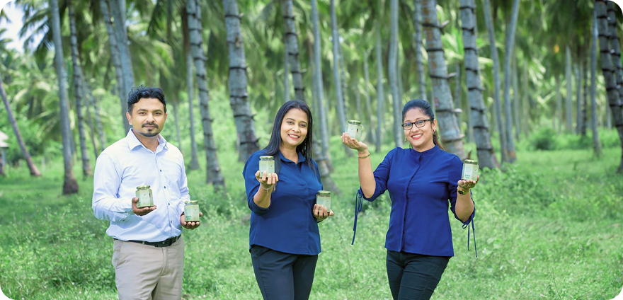 Cocosyrup launch illustration