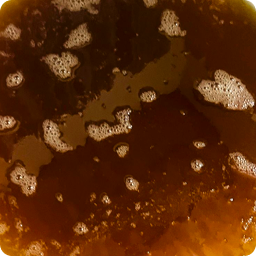 Slow boiling of sap to reduce